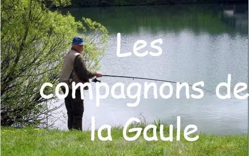 Compagnons de la Gaule