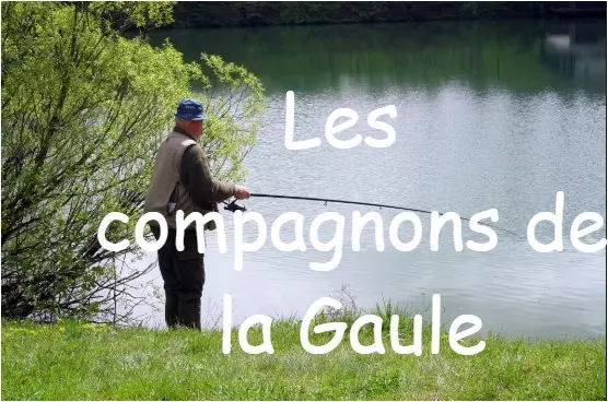 Logo des Compagnons de la Gaule